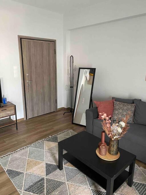 Luxury Apartments 1 Volos Luaran gambar